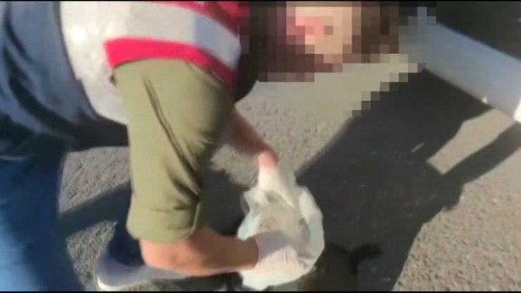 Jandarma operasyonunda 45 tüp kobra zehri ele geçirildi