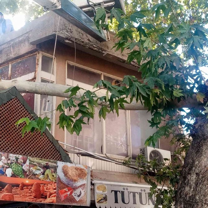 Ağaç işyerinin üzerine düştü