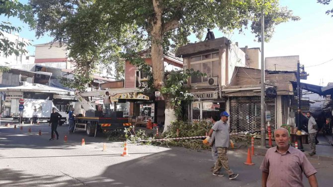 Ağaç işyerinin üzerine düştü