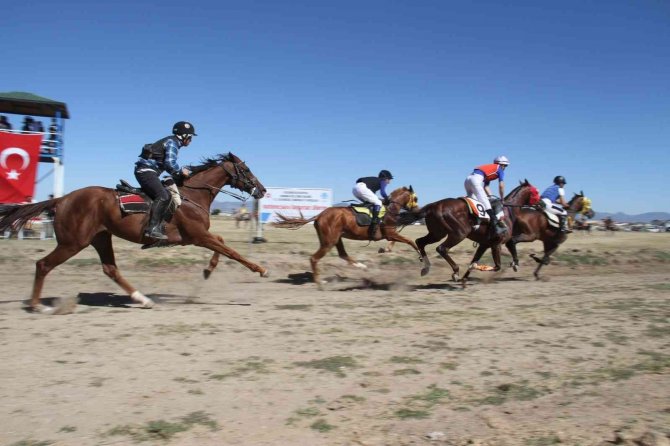 At yarışında jokey attan düştü, sazlıklar arasında kaybolan at saatler sonra bulundu