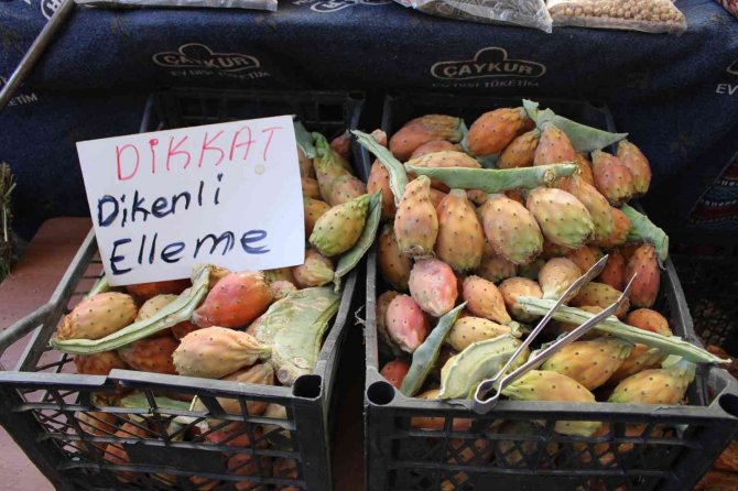 Kaktüs inciri, tezgahlarının ilgi odağı oldu