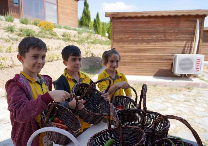 Konya'da çocuklar burada hayatı öğreniyor