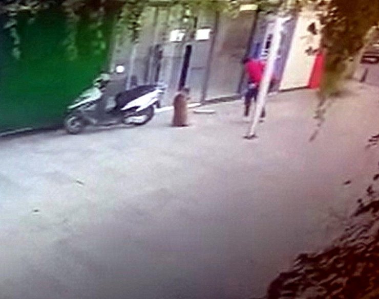 Sokak köpeği Boris'i bıçaklayarak öldürdü, o anlar kameraya yansıdı