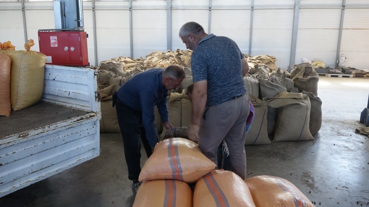 TMO Genel Müdürü Güldal: Fiyat oynamalarına karşı üretici sabretmeli