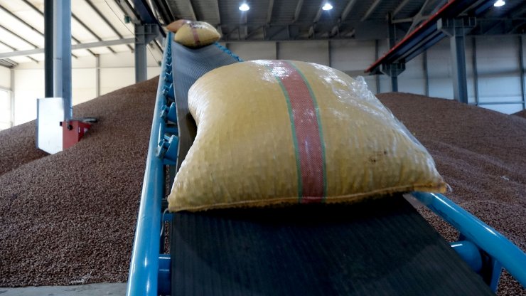 TMO Genel Müdürü Güldal: Fiyat oynamalarına karşı üretici sabretmeli