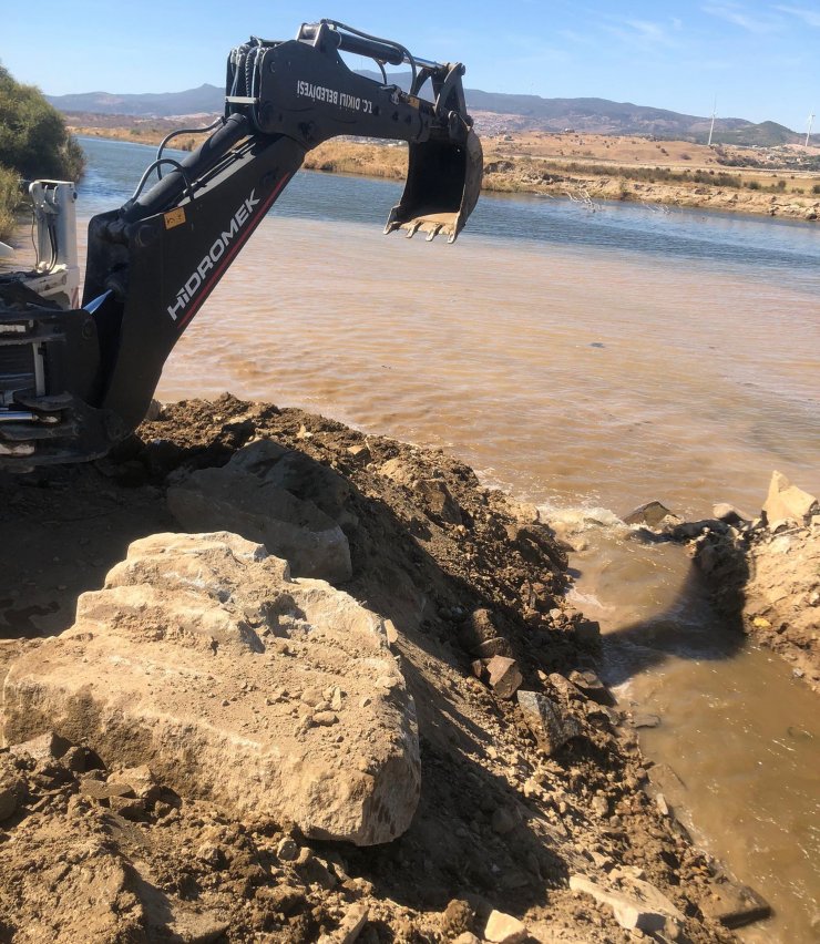 Toplu balık ölümüne inceleme
