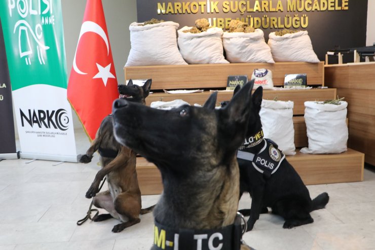 Şanlıurfa’da ‘torbacı’ operasyonu: 86 gözaltı