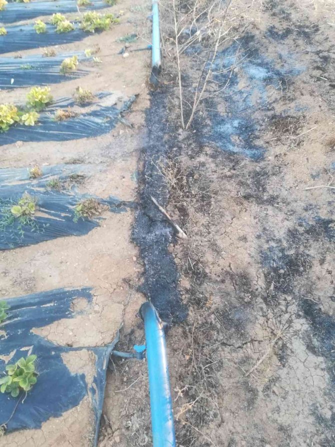 Konya'da çiftçinin isyanı: "Müslümanım" diye hem yağmur duasına çıkıp da nasıl anızları yakarsınız?