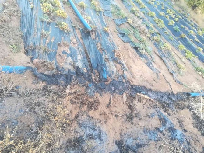 Konya'da çiftçinin isyanı: "Müslümanım" diye hem yağmur duasına çıkıp da nasıl anızları yakarsınız?