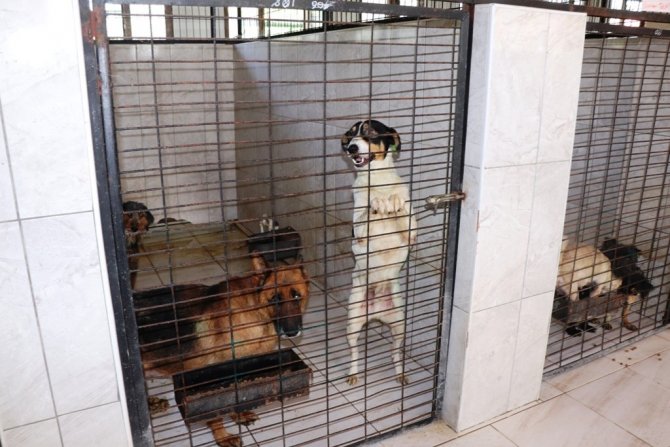 Can dostların yaşamlarına konukevi dokunuşu