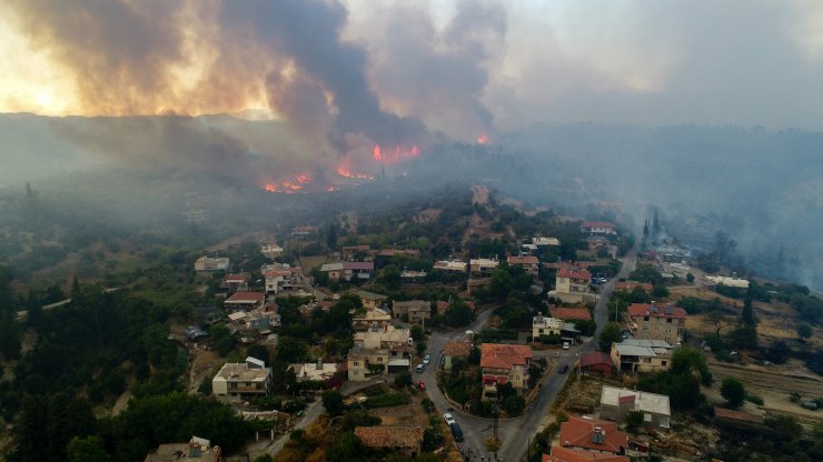 En büyük yangından yaralı kurtulan sincap, doğaya döneceği günü bekliyor