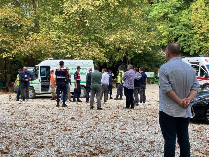 Erfelek Şelalelerini görmek için Sinop'a giden ailenin üzerine ağaç devrildi: 2 ölü, 1 yaralı