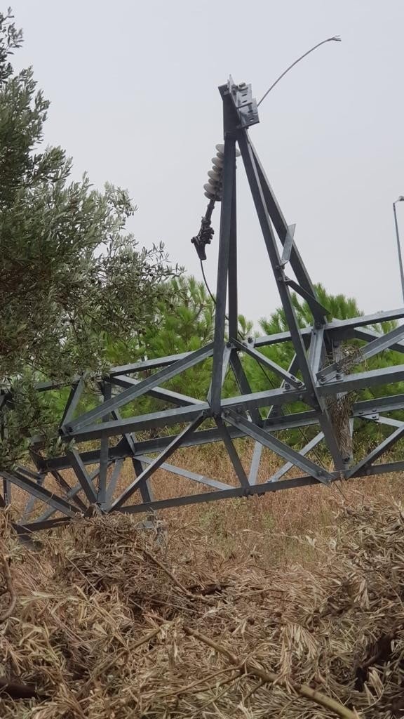 Hırsızlar elektrik direklerine dadandı