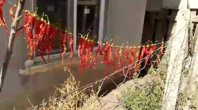 Kadınlar kışlık yiyecek hazırlığında