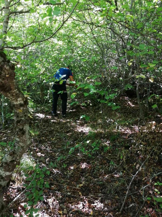 Kaybolan yaşlı adam 2 gündür aranıyor