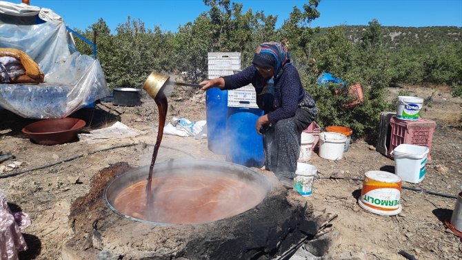 Konya'nın Bozkır ilçesinde pekmezler kaynamaya başladı
