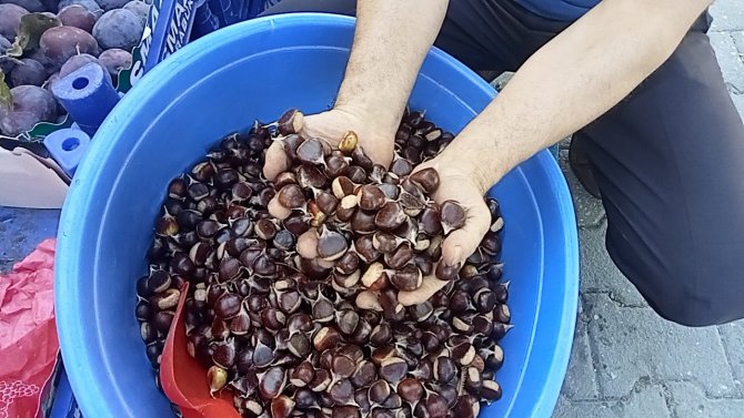 Tezgahlarda yerini aldı: Kilosu 50 TL