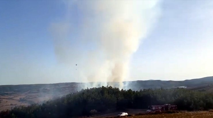 Oman yangını söndürüldü