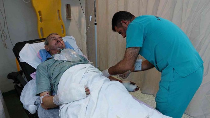 Ceviz toplarken ağaçta elektrik akımına kapıldı