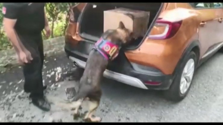 Jandarmanın operasyonunda 44 kilogram uyuşturucu ele geçirildi