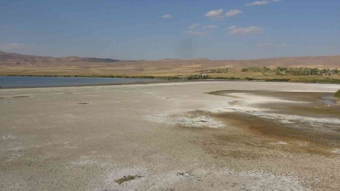 Kuş cenneti Erçek Gölü’nde korkutan su kaybı
