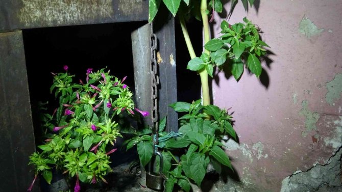 Mahalleli yakaladığı hırsızı dövdü