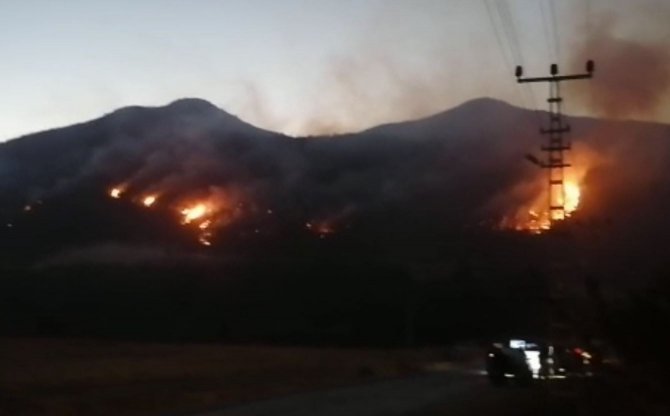 Orman yangını kontrol altına alındı