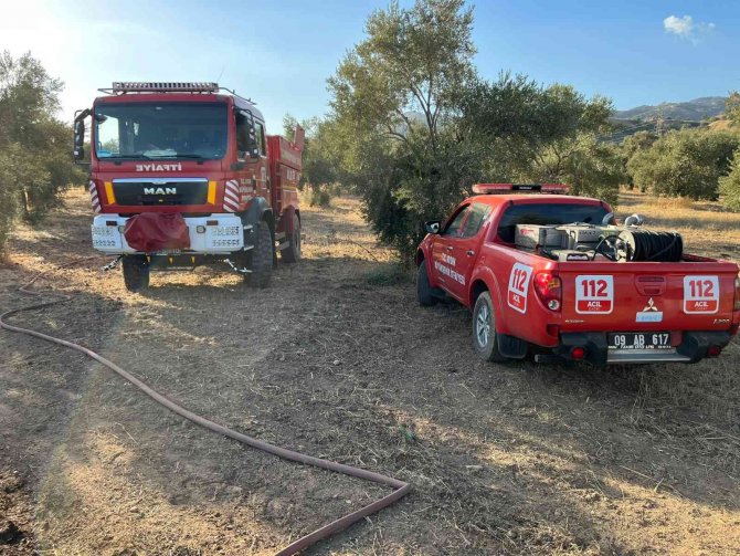 Zeytinlik alanda çıkan yangın büyümeden söndürüldü