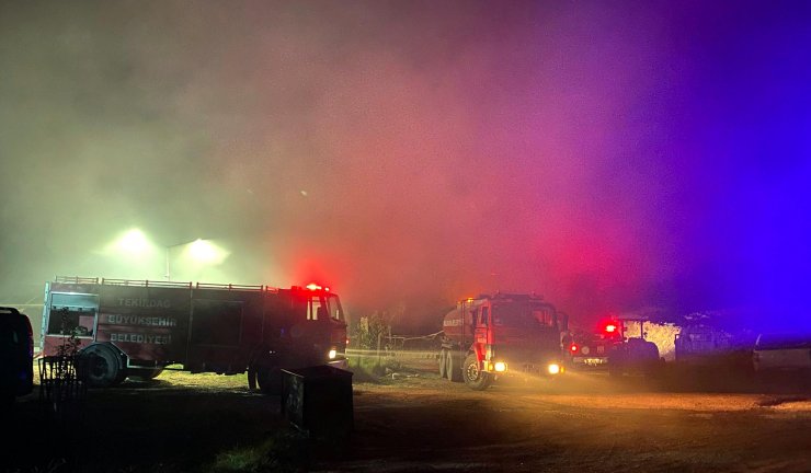 Tekirdağ'da çiftlikteki yangında 10 küçükbaş öldü, 10 ton buğday yandı