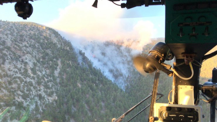 Adana'da orman yangını