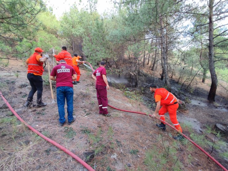 Karabük'te çıkan orman yangını söndürüldü