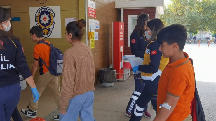 Eğitime "arı" engeli