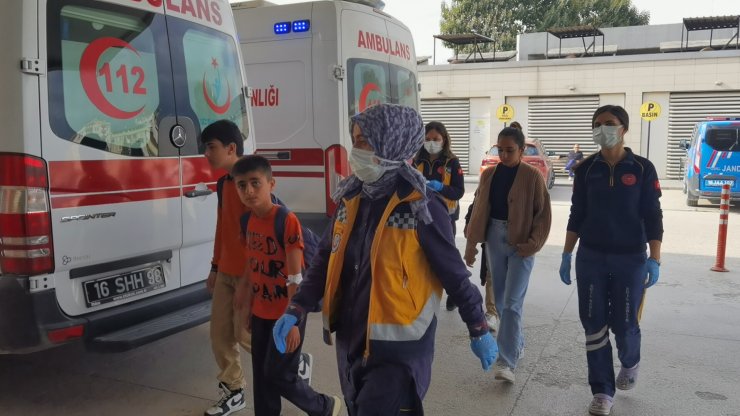 Eğitime "arı" engeli