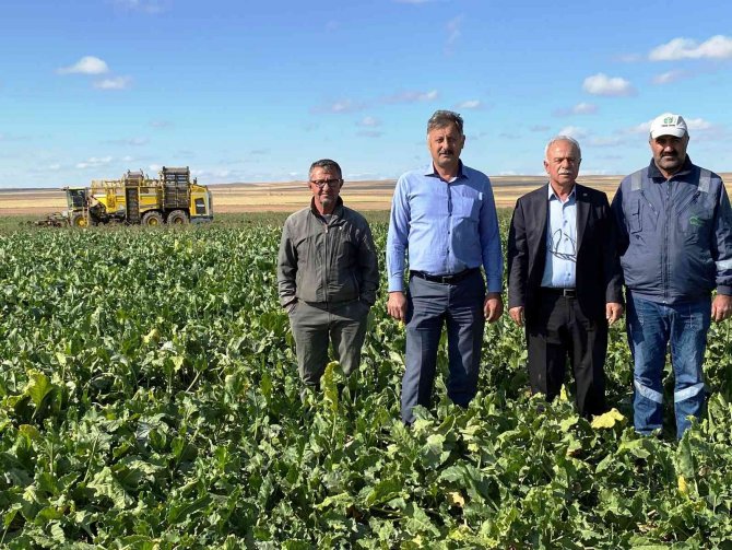 Konya'nın o ilçesinde şeker pancarı hasadı başladı! Fiyatlar açıklandı