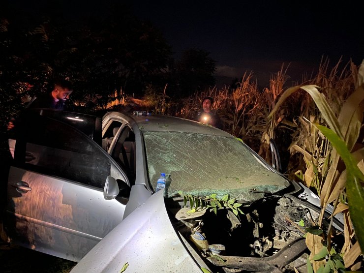 Otomobil ağaca çarpıp, mısır tarlasına savruldu: 1 ölü, 1 yaralı