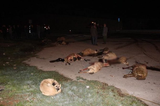 Koyun sürüsüne peş peşe iki otomobil çarptı, 25 koyun telef oldu