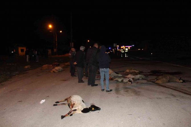 Koyun sürüsüne peş peşe iki otomobil çarptı, 25 koyun telef oldu