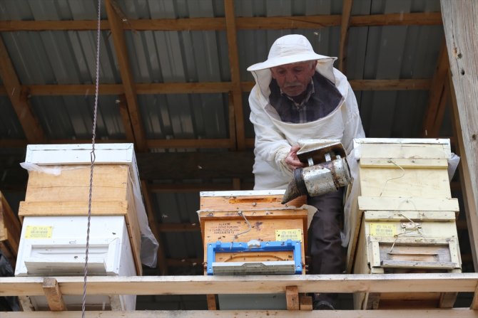 Konya'ya örnek üretici: 40 yıldır bal üreterek 7 çocuk yetiştirdi
