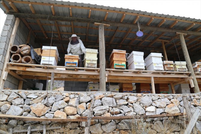 Konya'ya örnek üretici: 40 yıldır bal üreterek 7 çocuk yetiştirdi