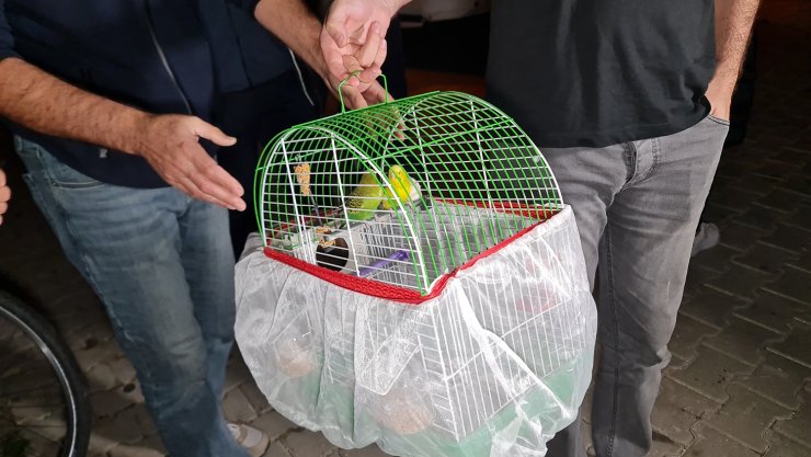 Apartmanda çıkan yangında 9 kişi dumandan etkilendi