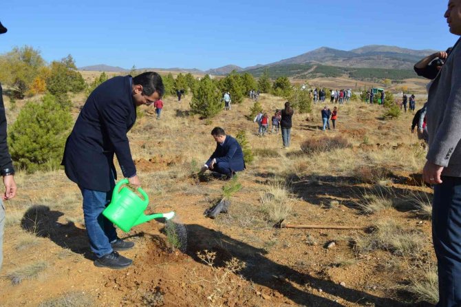 Hüyük’te hatıra ormanı fidan dikimi gerçekleştirildi