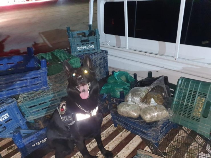 Kamyonetteki sebze kasalarında uyuşturucu yüklemişler