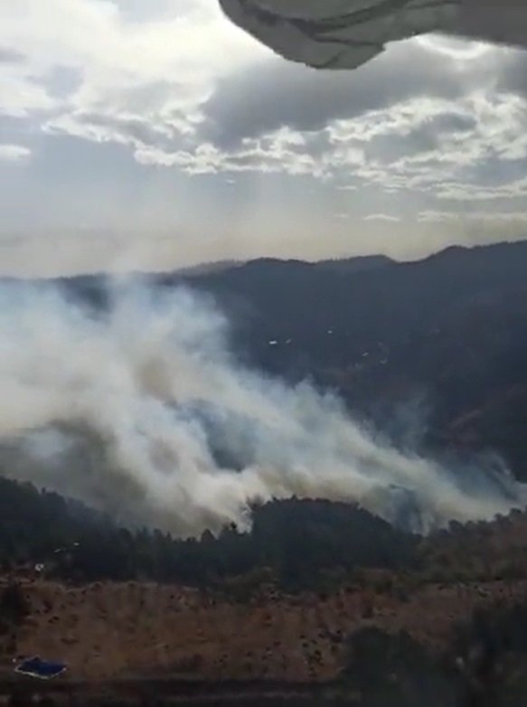İzmir’de orman yangını