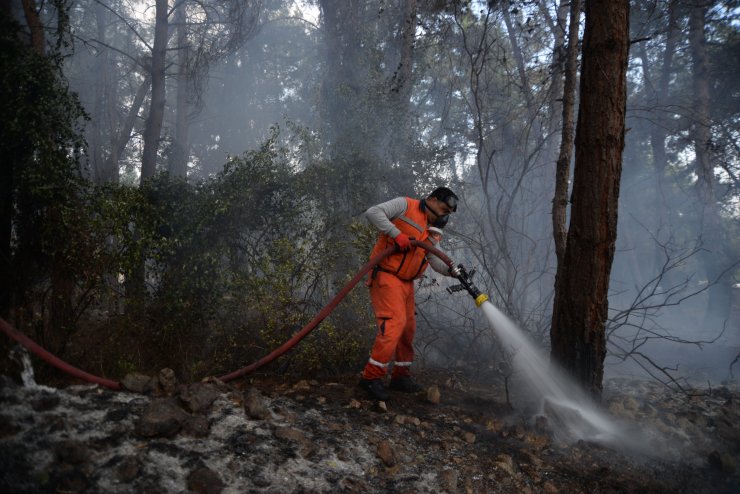 Orman yangını, büyümeden kontrol altına alındı
