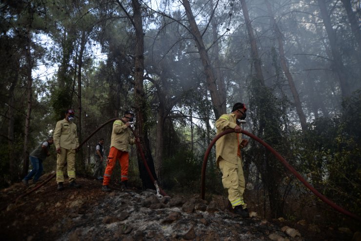 Orman yangını, büyümeden kontrol altına alındı