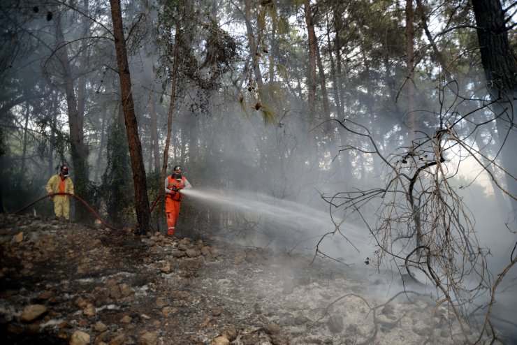 Orman yangını, büyümeden kontrol altına alındı