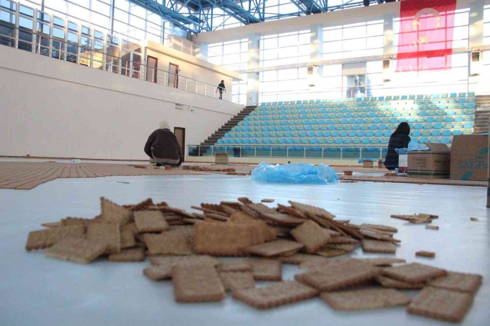 Dünyanın en büyük buğday başağı mozaiği çalışmaları başladı