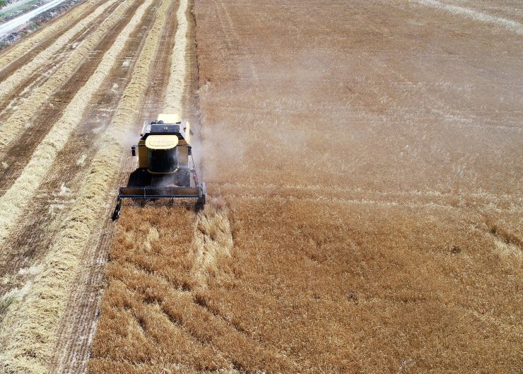 Konya Ovası'nın yeni sezon gözdesi yine o ürün olacak