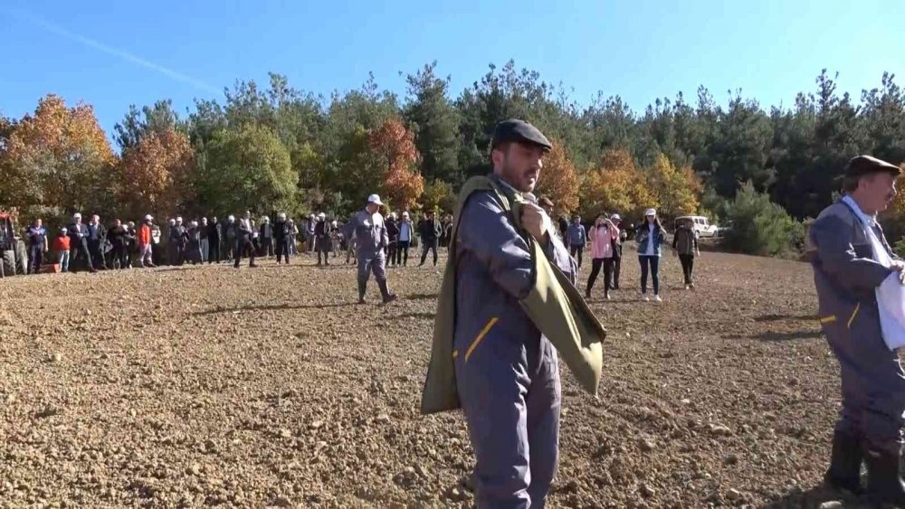 3 yıldır ekmek 1 liradan satılıyor! Türkiye’nin en ucuz ekmeği artık bu tarladan çıkacak