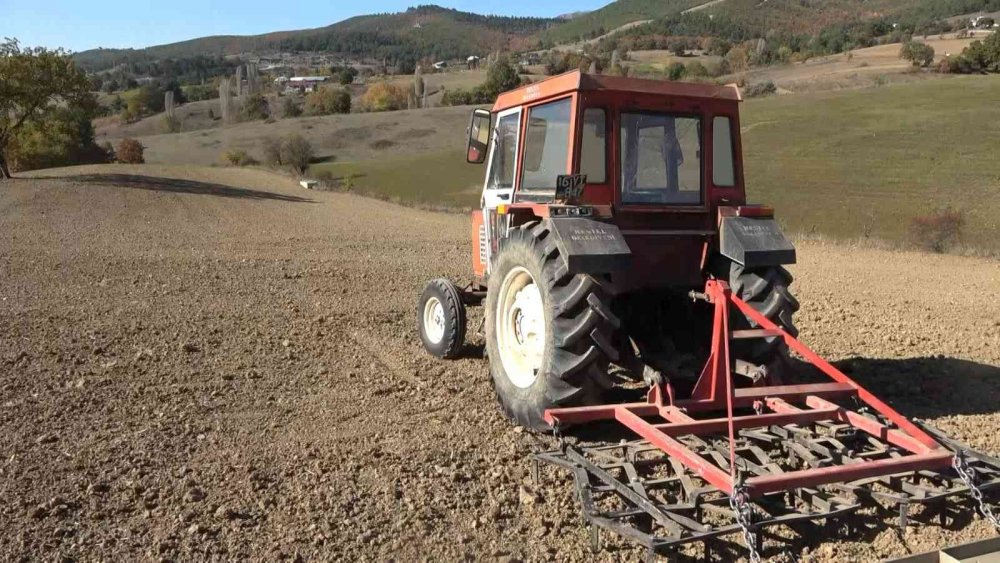 3 yıldır ekmek 1 liradan satılıyor! Türkiye’nin en ucuz ekmeği artık bu tarladan çıkacak